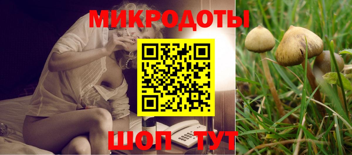 Галлюциногенные грибы ЛСД Арсеньев